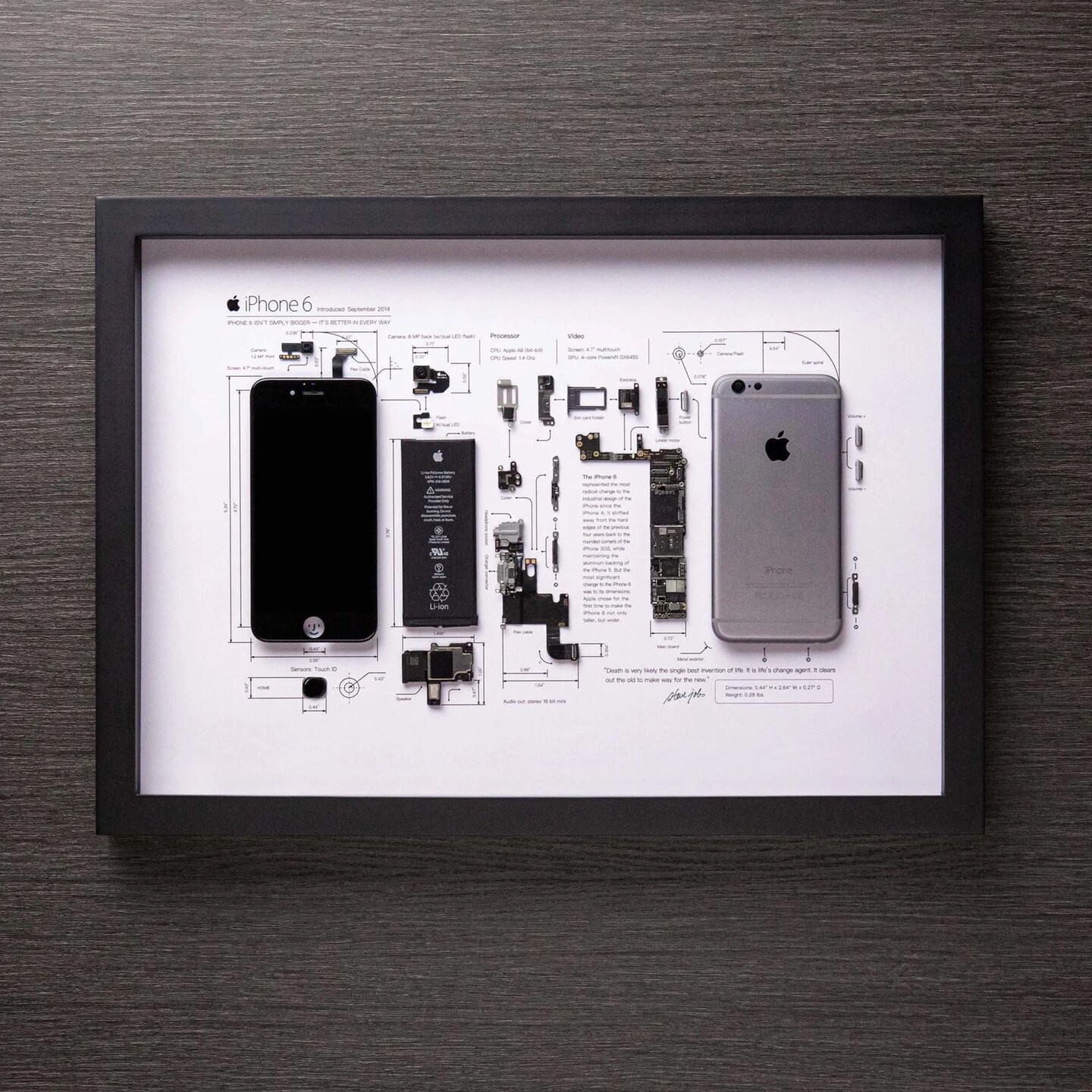 Framed iPhone 3 3Gs 4 4s 5 6 7 8 X Disassembled Phone Wall Art