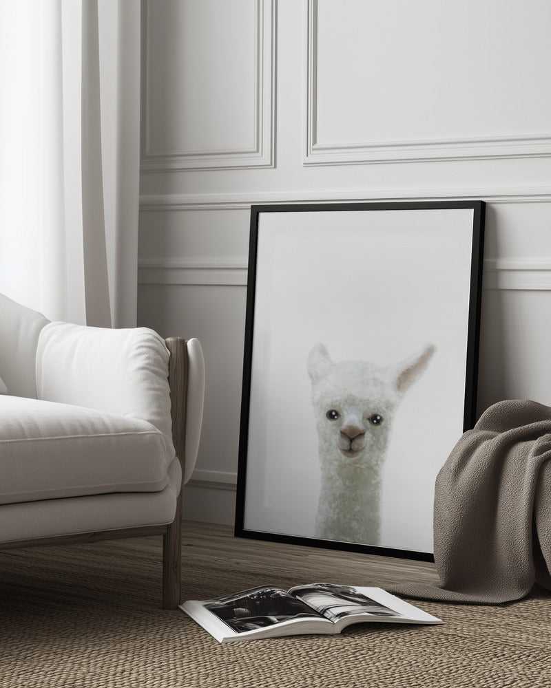 Llama - Pictufy Studio II 24x36 Black Framed Art | Home or Office Art
