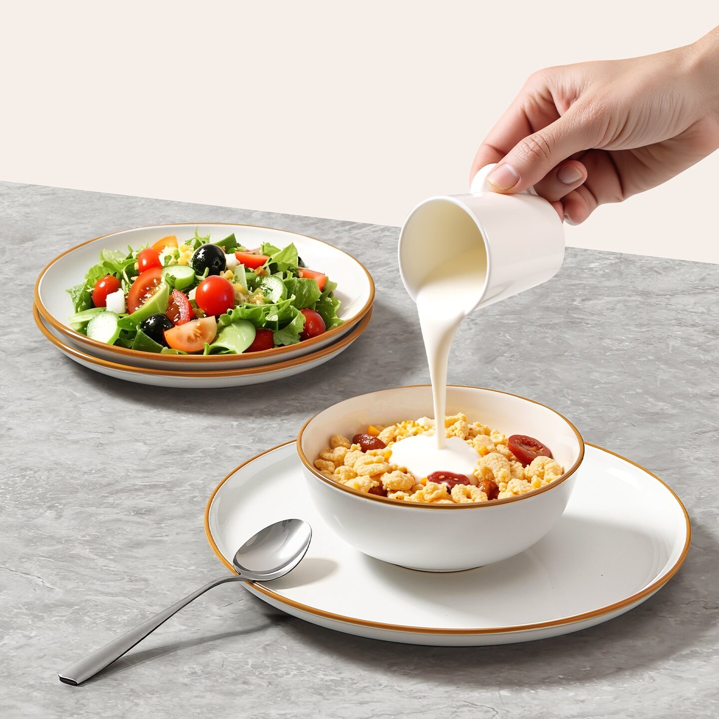 Ceramic Dinnerware Set, Round Plates and Bowls, Dishwasher & Microwave Safe