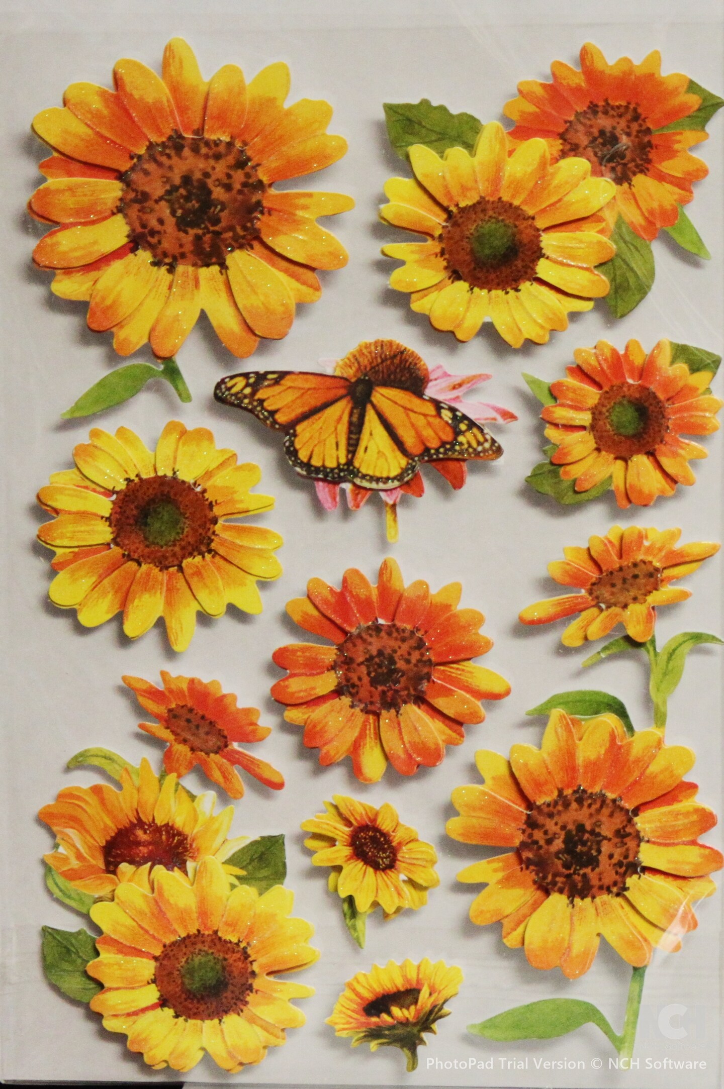Designer Sunflowers Dimensional Stickers