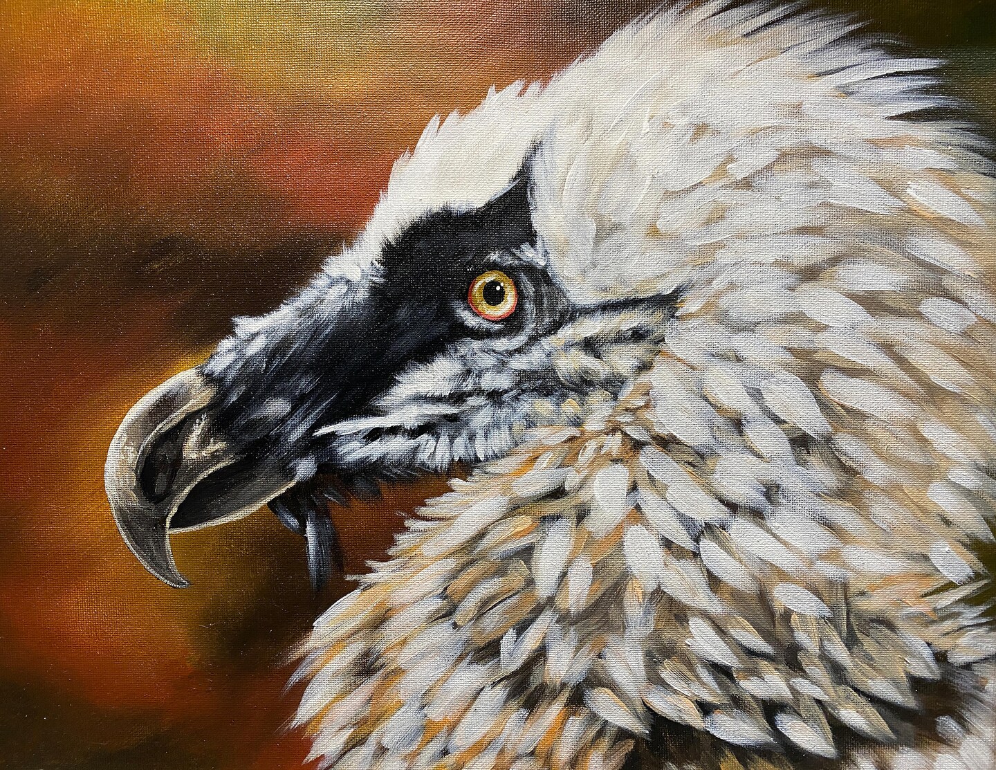 To the Bone (Bearded Vulture) - 8.5\, image size:1440x1113