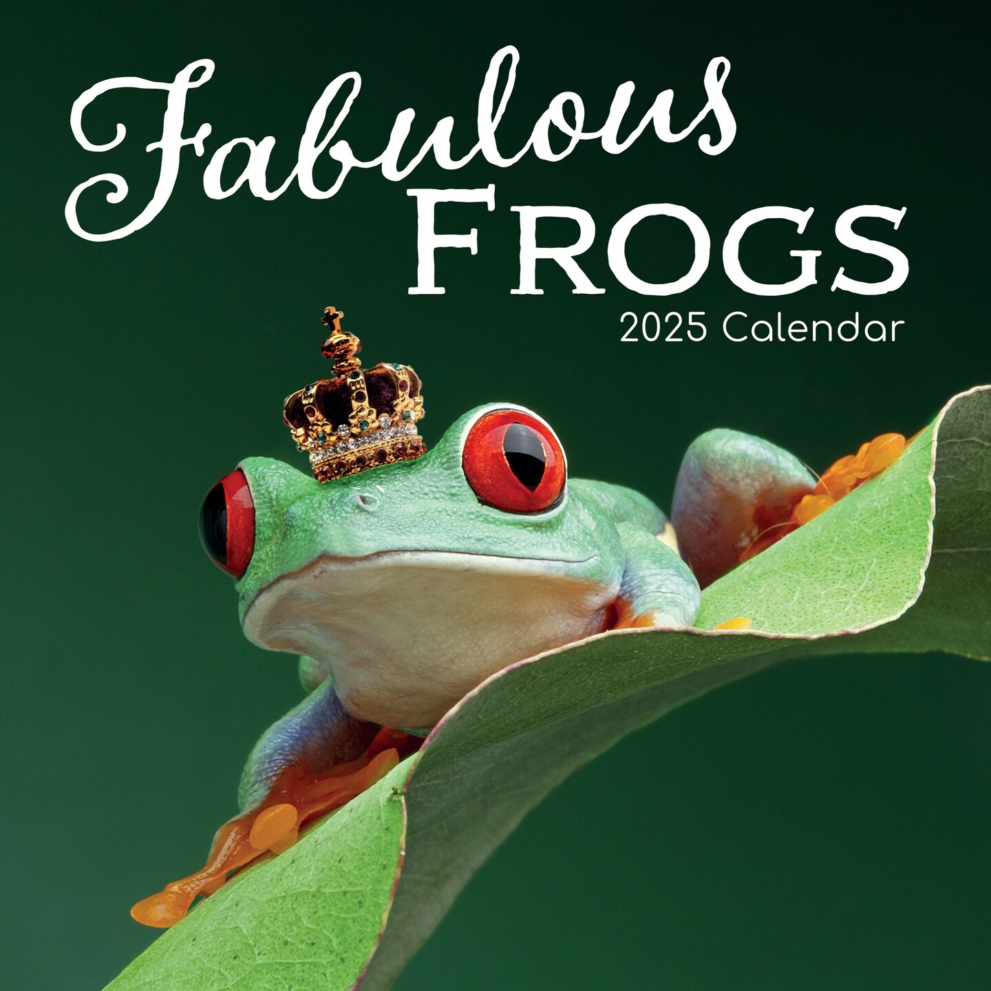 The Gifted Stationary 2025 Square Wall Calendar, Fabulous Frogs, 16-Month Animals Theme Hanging Calendar with 180 Reminder Stickers, Month Planner for Home, or Creative Spaces, 12x12 In