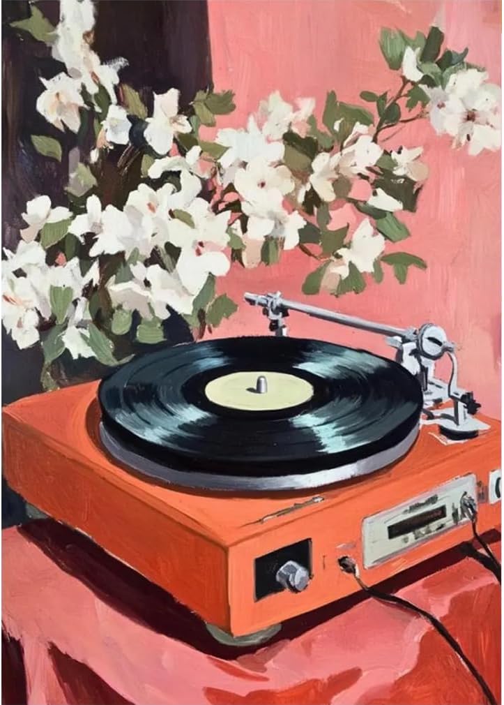 Paint by Numbers Kit for Adults,Retro Records Painting by Numbers,DIY Acrylic Paint Kit Arts and Crafts for Adults Without Frame,Easy Adult Paint by Number Kits on Canvas for Decor 16x20inch