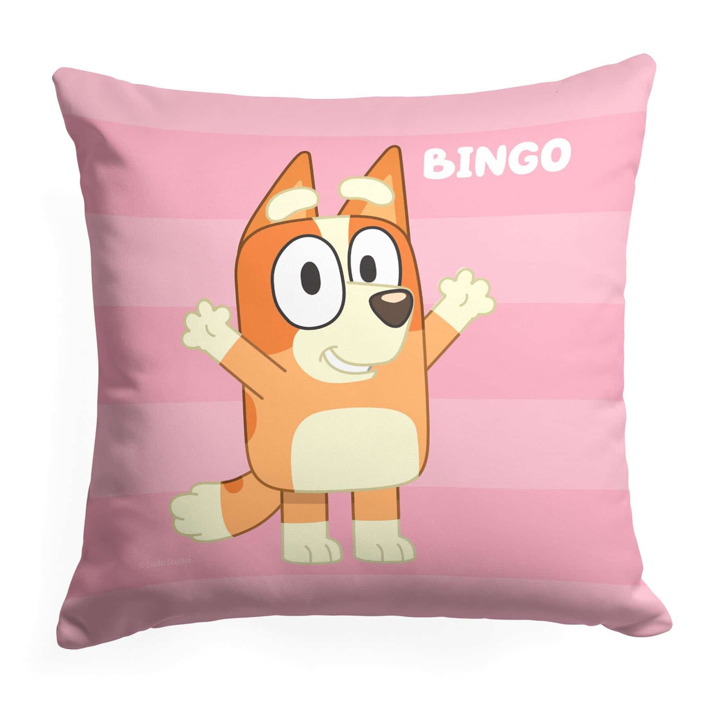 Bluey Roll Call Throw Pillow 18&#xD7;18 Inches