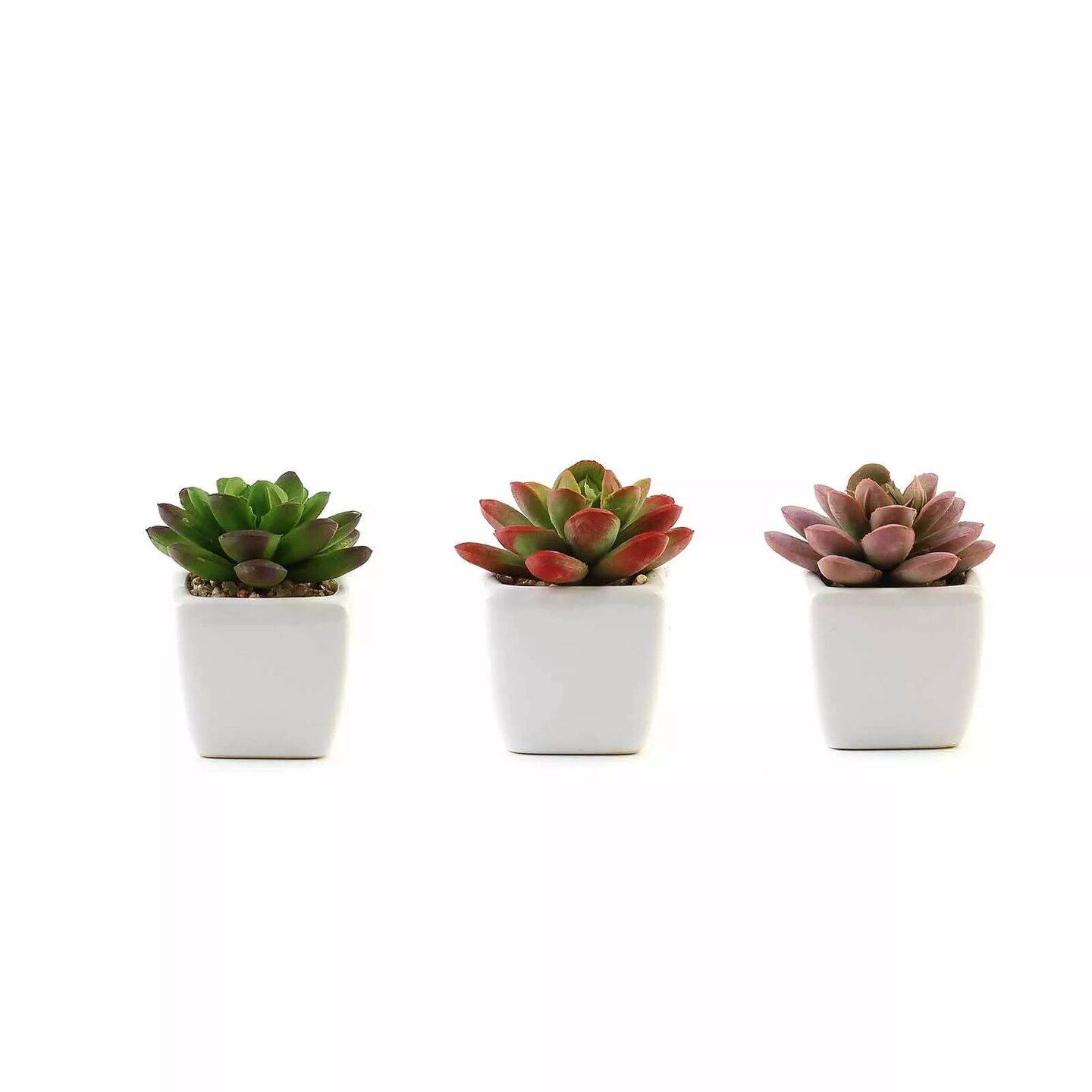 Set of 3 3" tall Mini Faux Succulent Plants with Off White Ceramic Pots Wedding