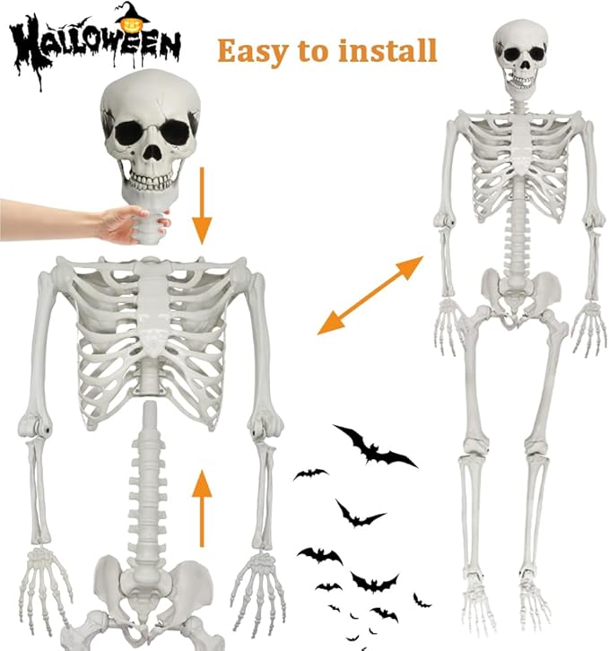 1Pcs 5.9ft Life Size Human Skeleton with Movable Joints for Halloween Haunted House Decoration
