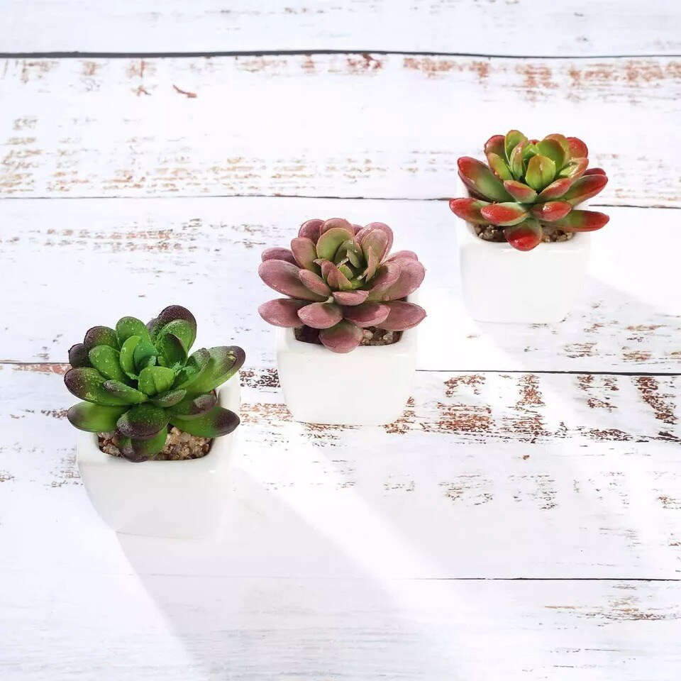 Set of 3 3&#x22; tall Mini Faux Succulent Plants with Off White Ceramic Pots Wedding
