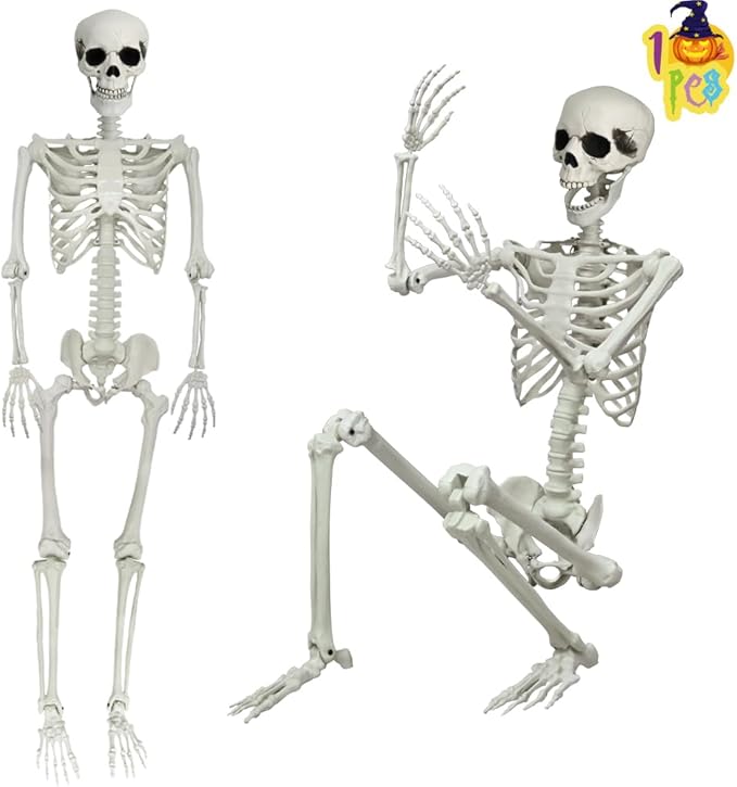 1Pcs 5.9ft Life Size Human Skeleton with Movable Joints for Halloween Haunted House Decoration