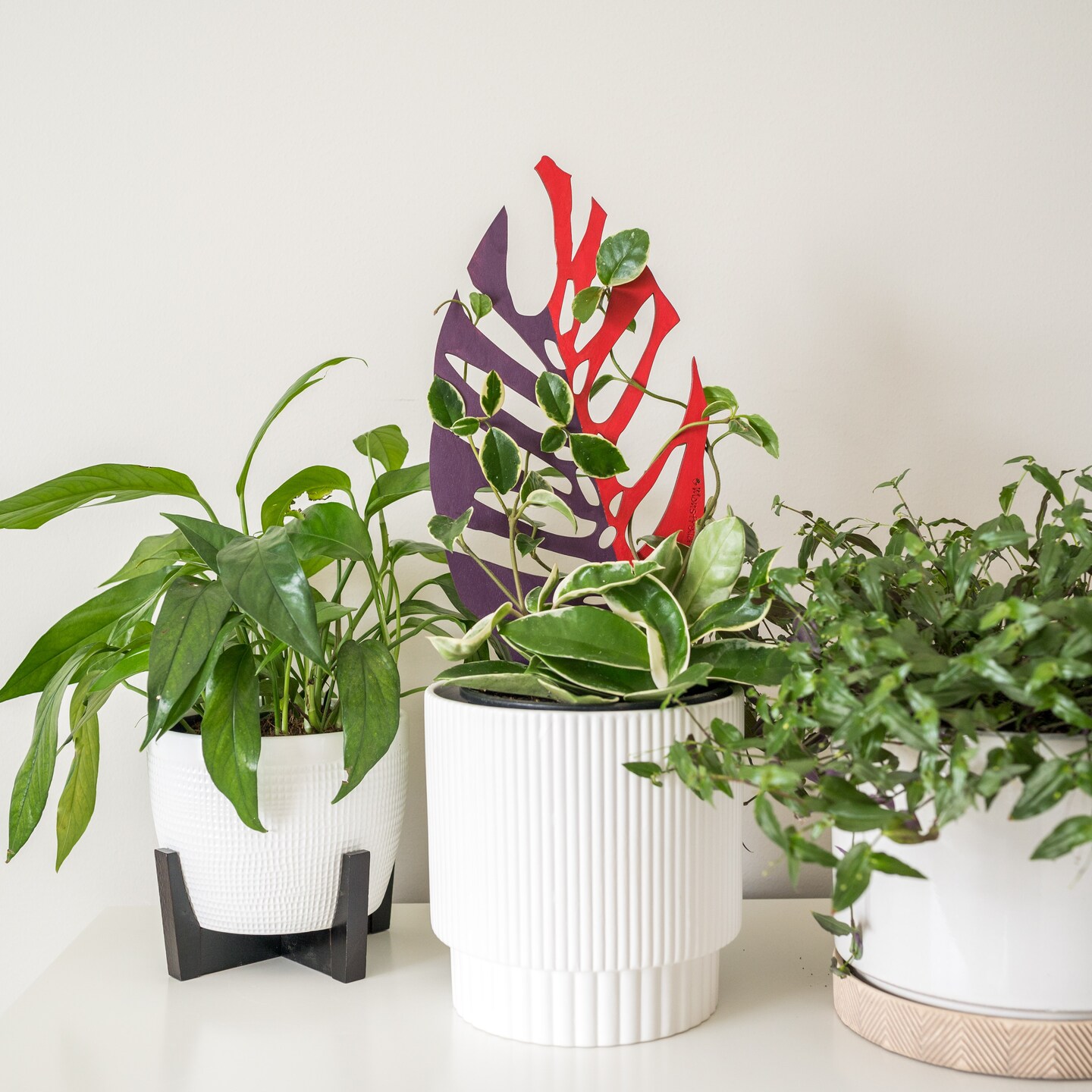 BARE Monstrella - Customizable wooden plant support - Inspired by the  Monstera leaf | MakerPlace by Michaels