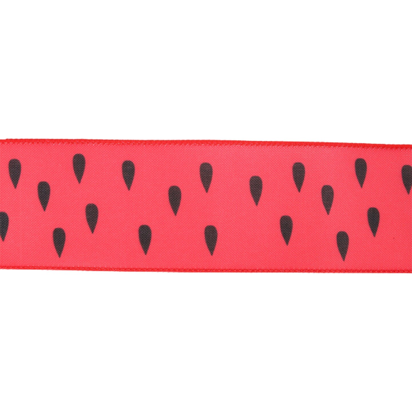LaRibbons 2 1/2" Wired Ribbon | Watermelon Seeds | 10 Yard Roll