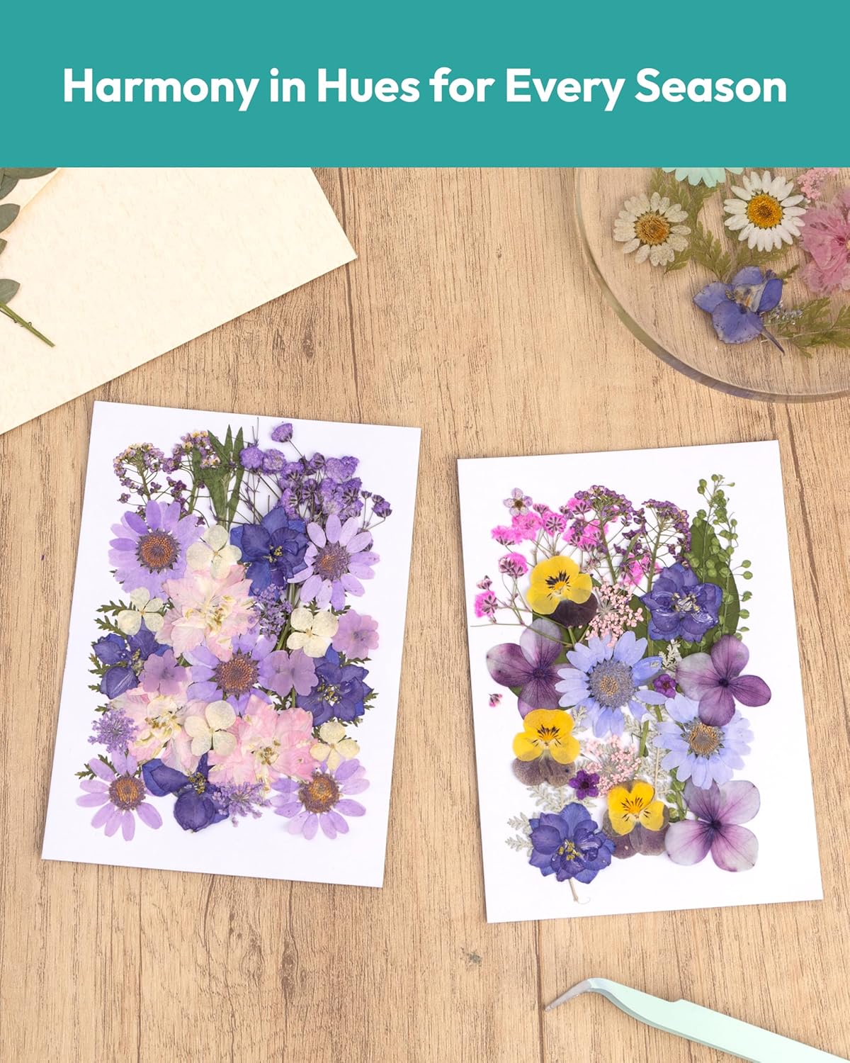 58Pcs Pressed Flowers for Craft Purple Real Natural Dried Flowers