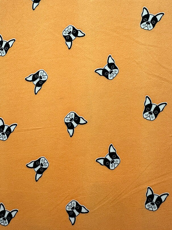 Light Orange Bulldog Print Double Brushed Jersey Knit Fabric By the Yard