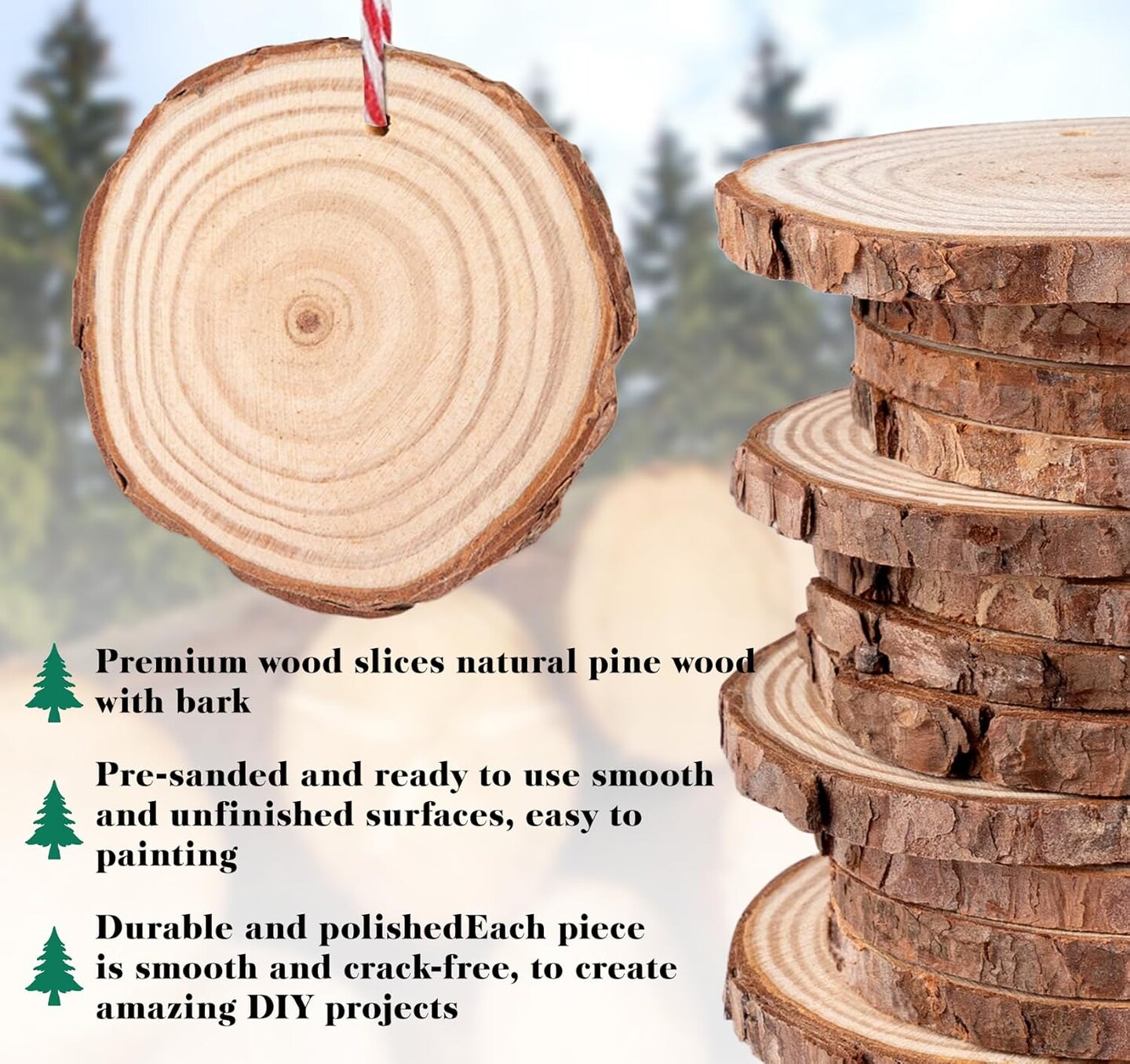 Wood Slices, 30PCS 3.1&#x27;&#x27;-3.5&#x27;&#x27;Natural Wooden Christmas Ornaments Kit Unfinished Wooden Circles with Pre-Drilled Hole, Acrylic Paint, Diamonds, DIY Craft for Kids Adults Holiday Decor