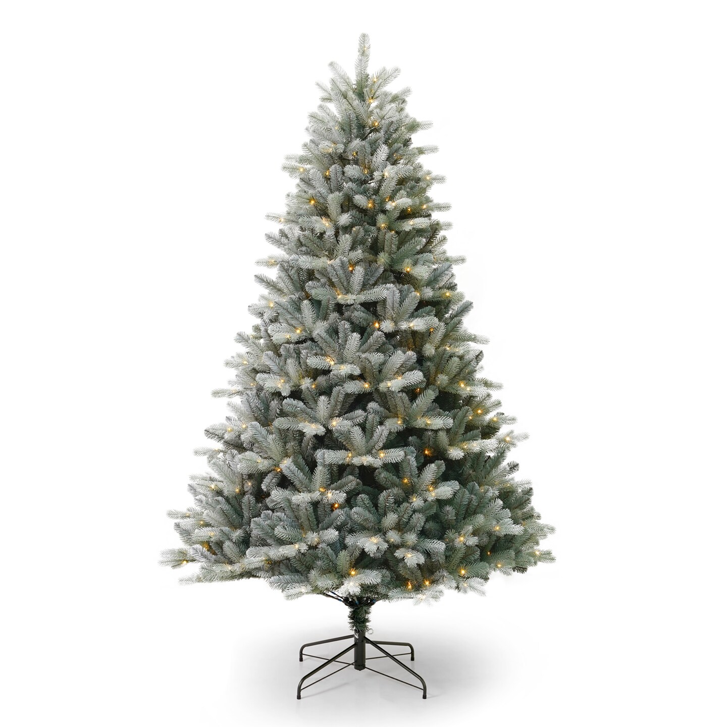 Christmas Blue Spruce Tree