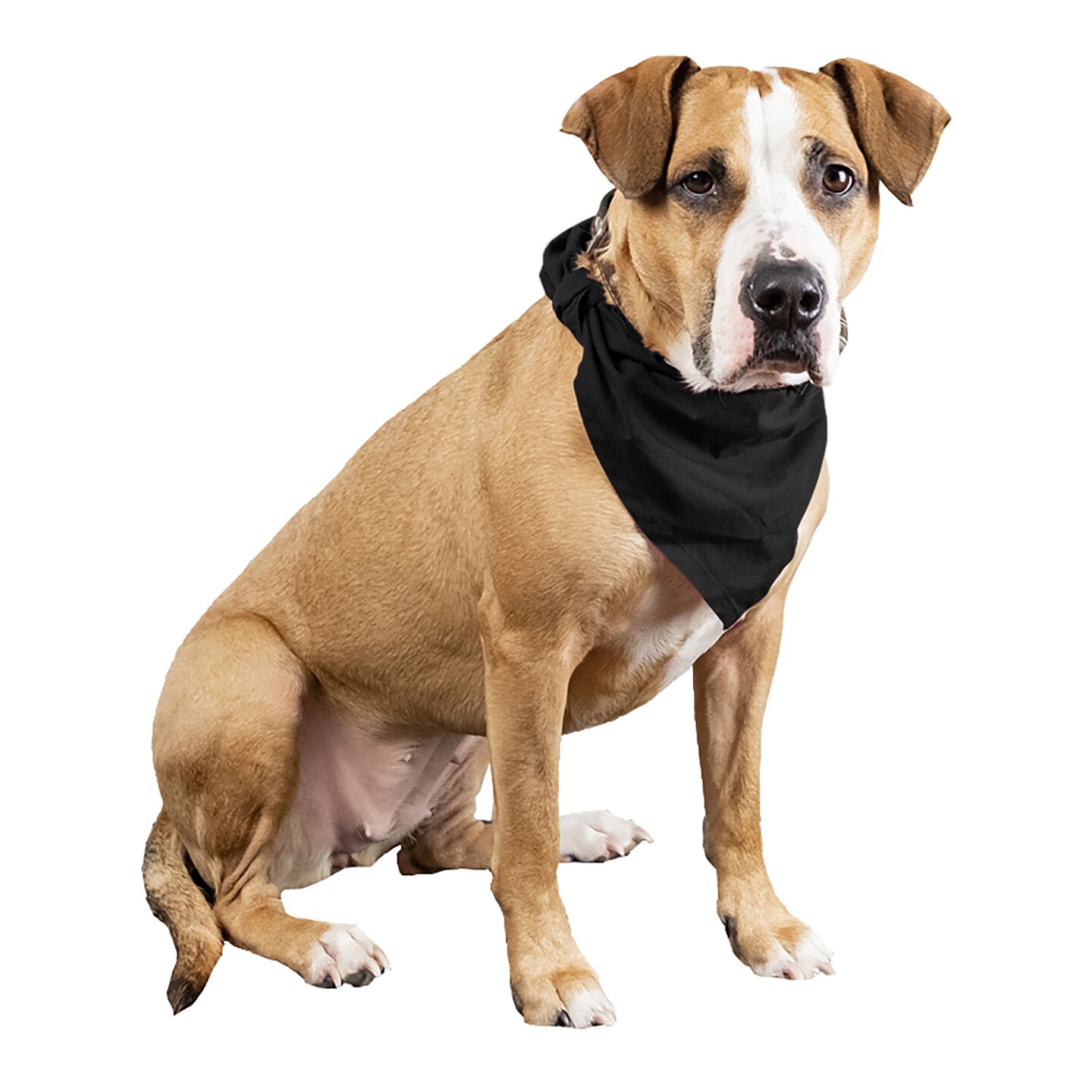 Mechaly 4 Pcs Plain Cotton Pets Dogs Bandana Triangle Shape - Large & Washable