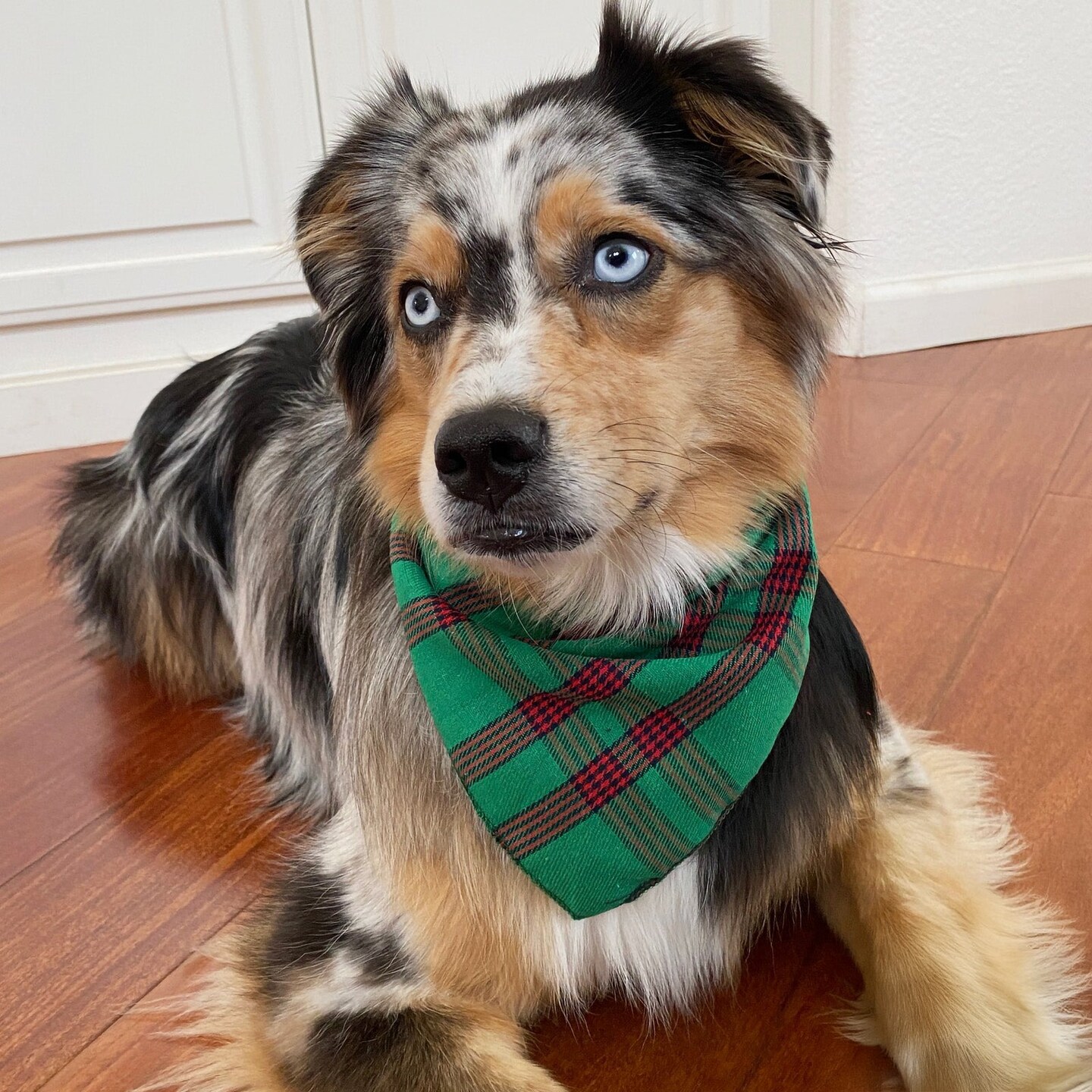 Wrapables Christmas Pet Triangle Bandana, Bib Scarves For Cats and Dogs (Set of 2), Small, Classic Plaid