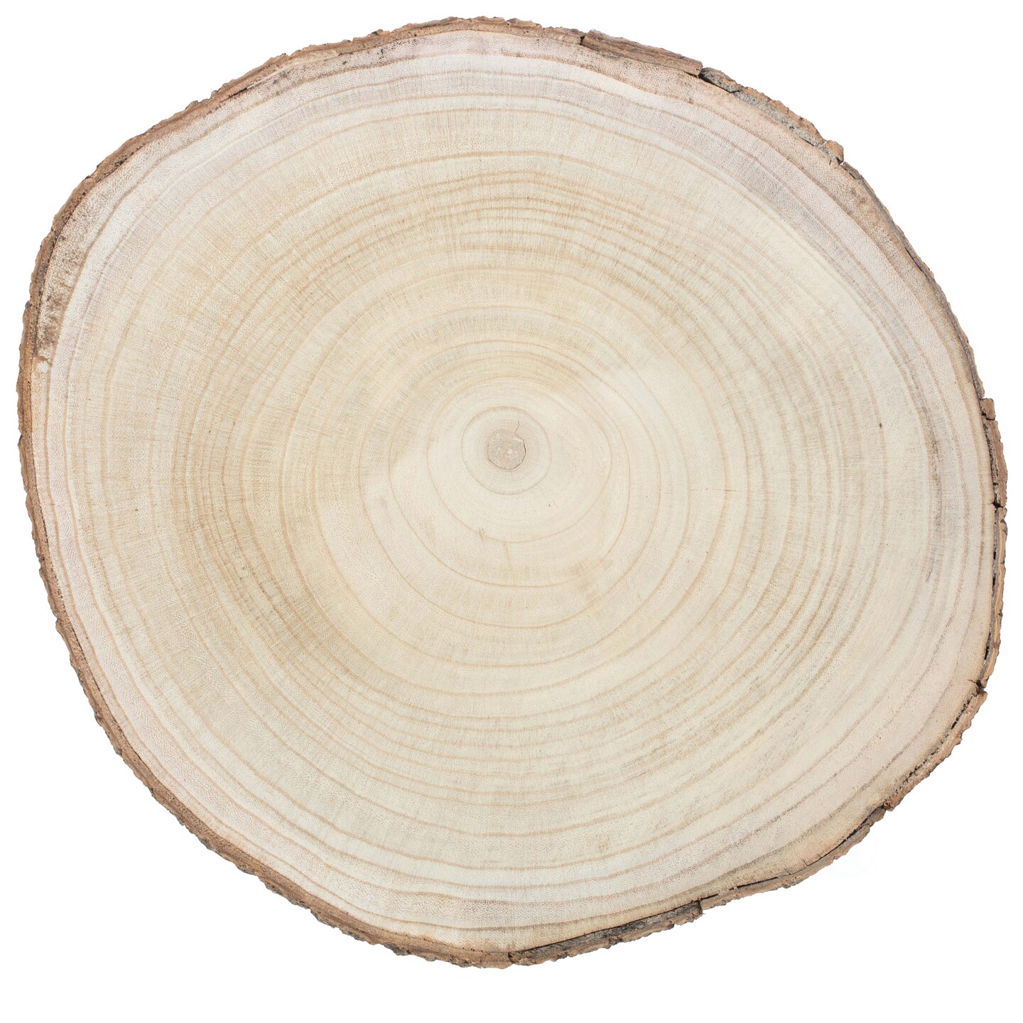 Barky Natural Wood Slabs Rustic Ornament Slice Tray Table Charger set of 4