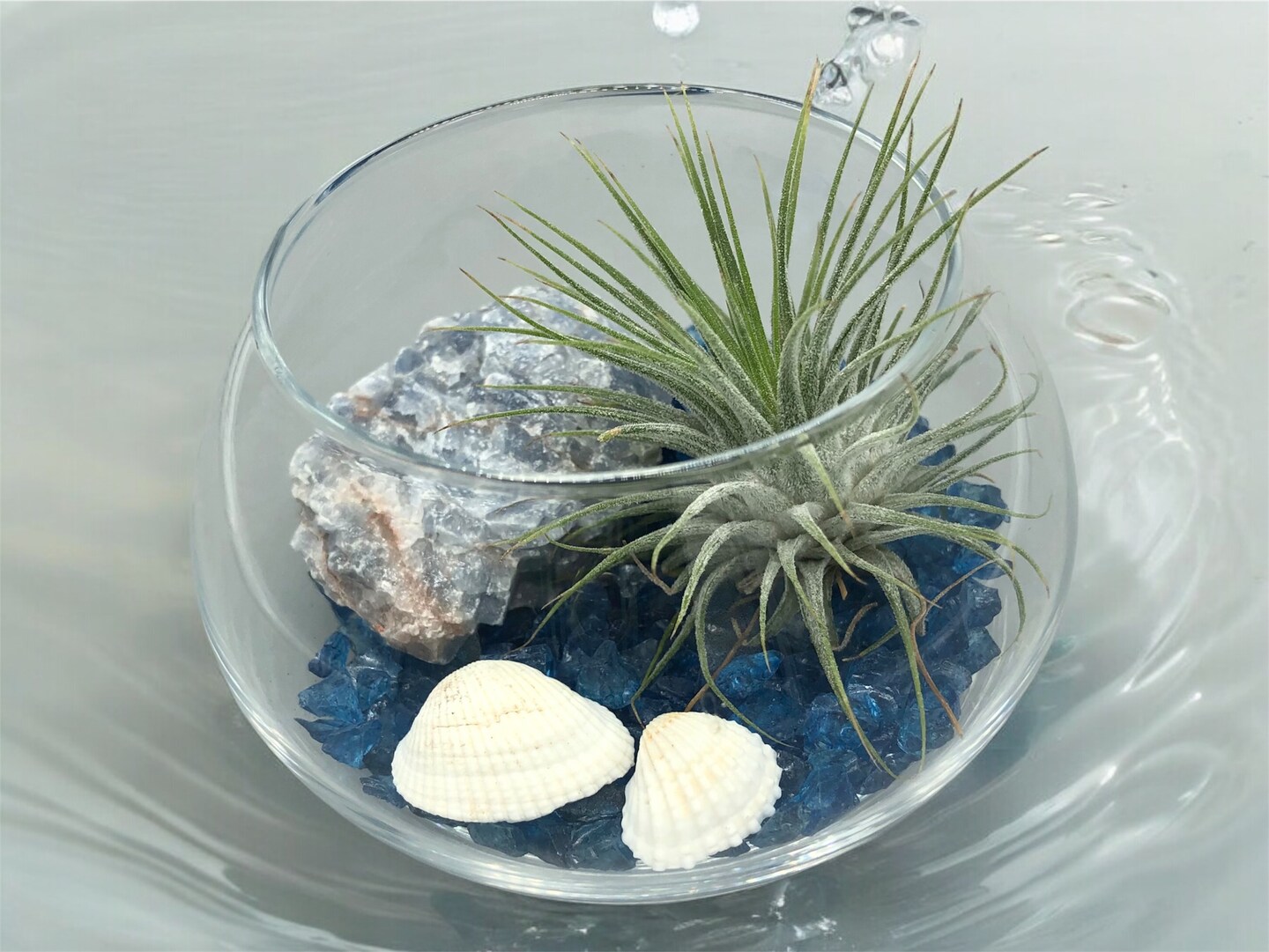 Crystal Air Plant Glass Vase Terrarium DIY Kit | MakerPlace by Michaels