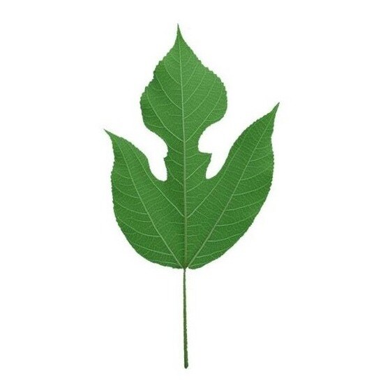 storefront logo