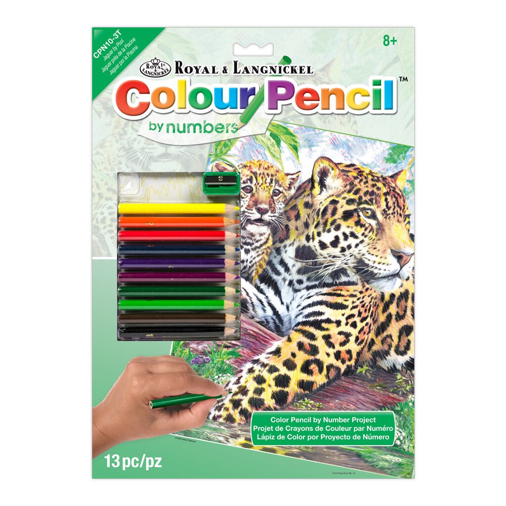 CPN10 | Colour Pencil by numbers&#x2122; 13pc 8.75&#x22; x 11.75&#x22; Jaguar by Pool Project