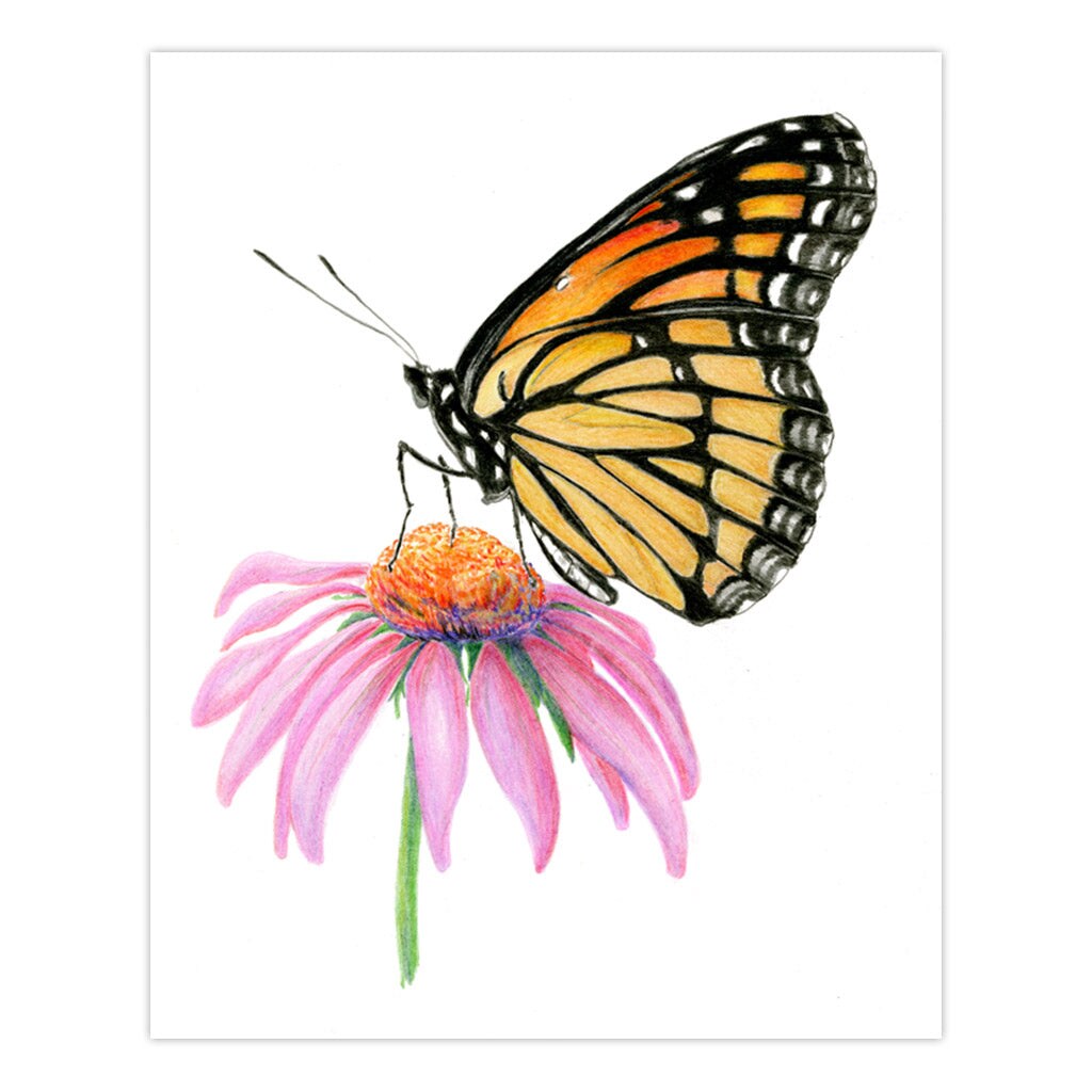 AVS-DME202 | Drawing Made Easy&#x2122; 26pc 8&#x22; x 10&#x22; Butterflies 4 Project Box Set