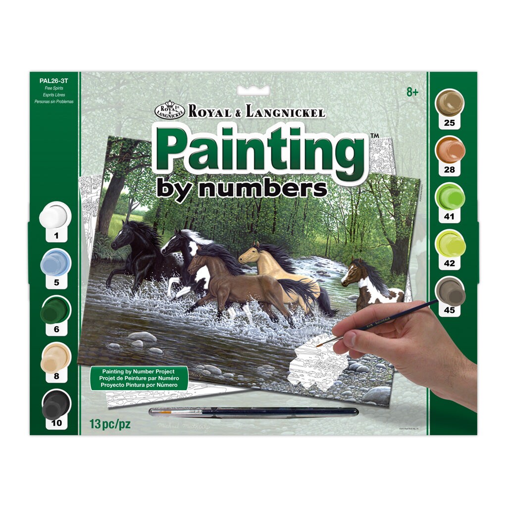 PAL26 | Painting by numbers™ 13pc 11.25" x 13.375" Free Spirits Painting Project