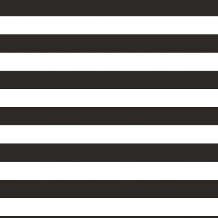 Black &#x26; White Stripe Photo Booth Backdrop