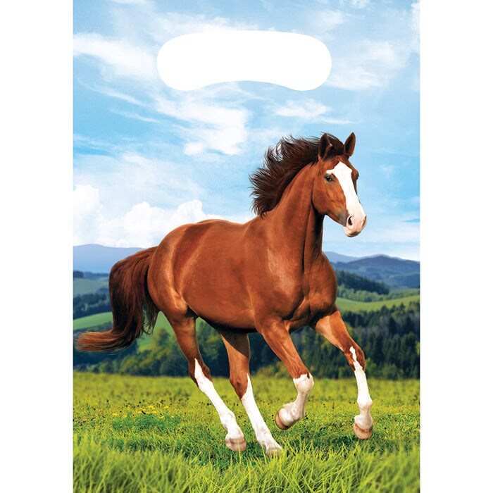 Bulk Pack of 16 Horse &#x26; Pony Bag Favor Bags