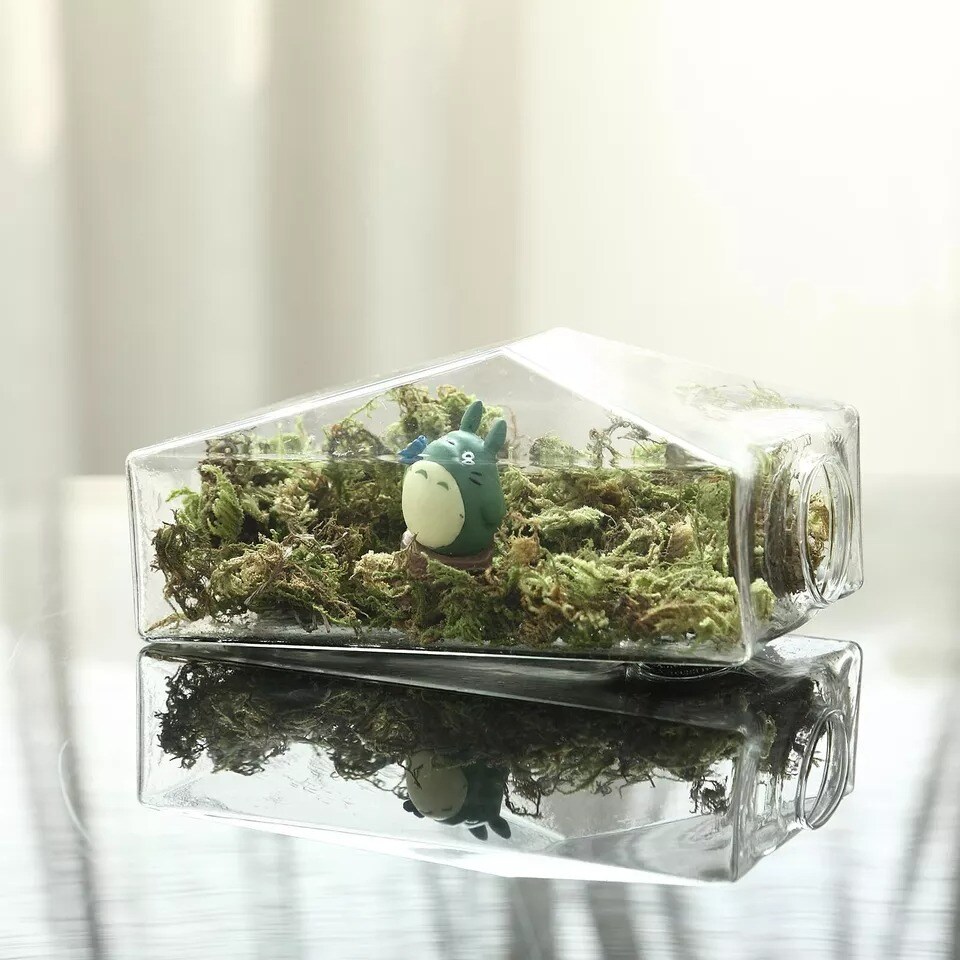 3 pcs Clear Trapezoid Glass Wall Terrariums Wedding Vases Home Centerpieces