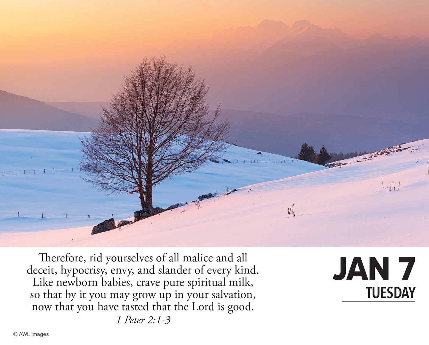 Bible Verses and Psalms 2025 Box Calendar, Daily Desktop