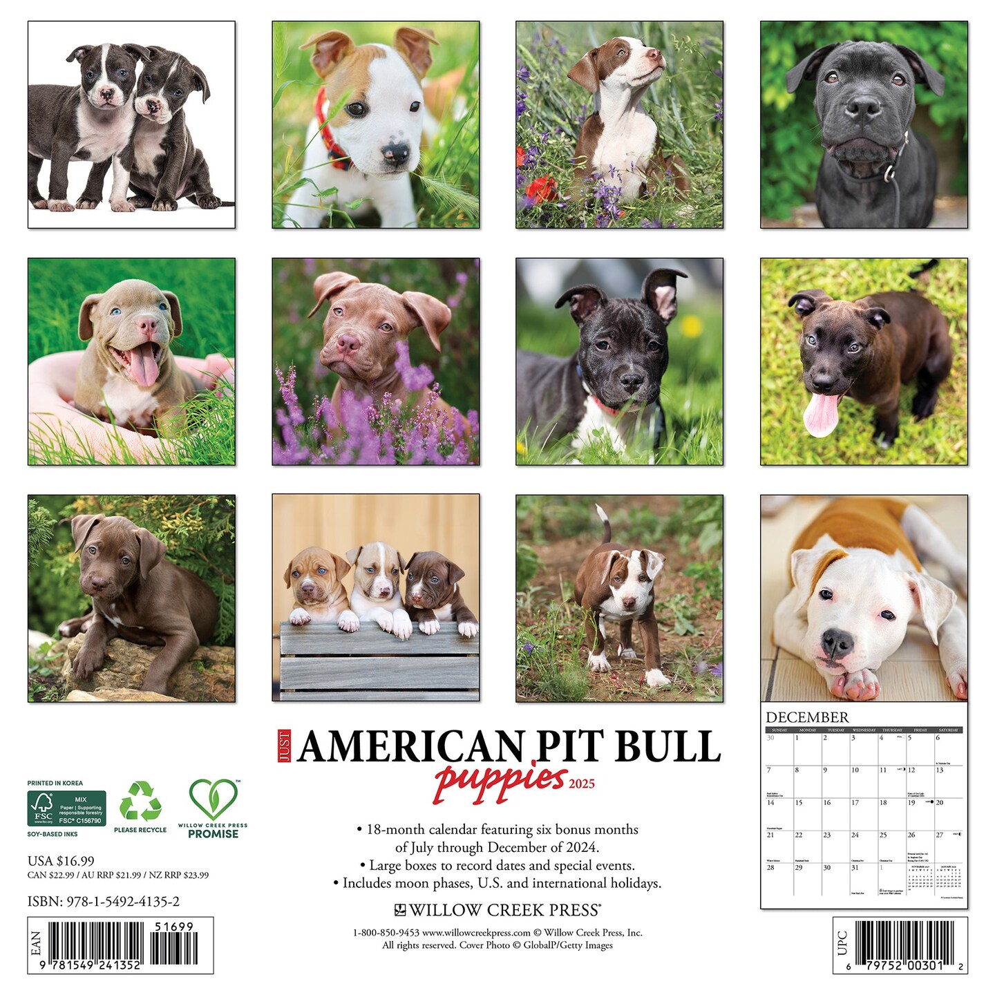 American Pit Bull Terrier Puppies 2025 Wall Calendar