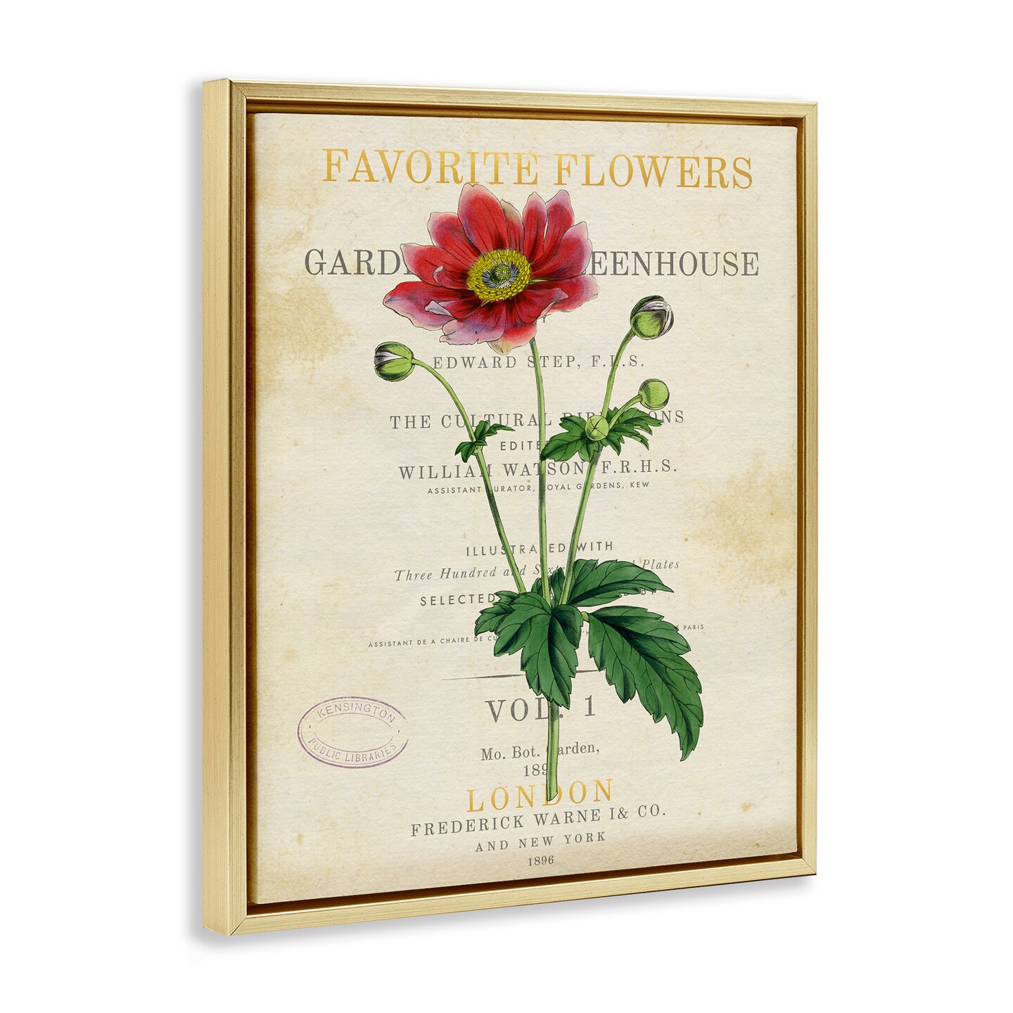 Stupell Industries Garden Greenhouse Vintage Flower Floating Frame By Susan Arnot