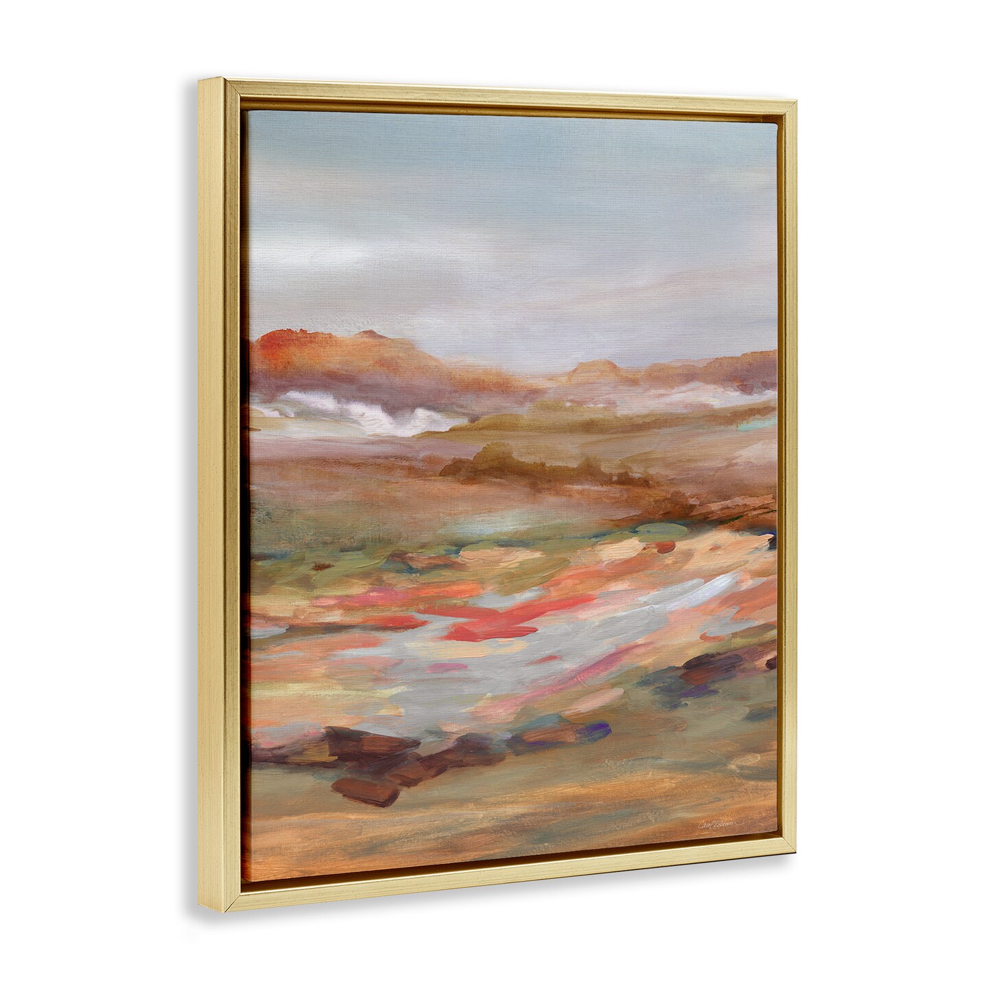 Stupell Industries Dynamic Abstract Desert Floating Frame Design by Carol Robinson