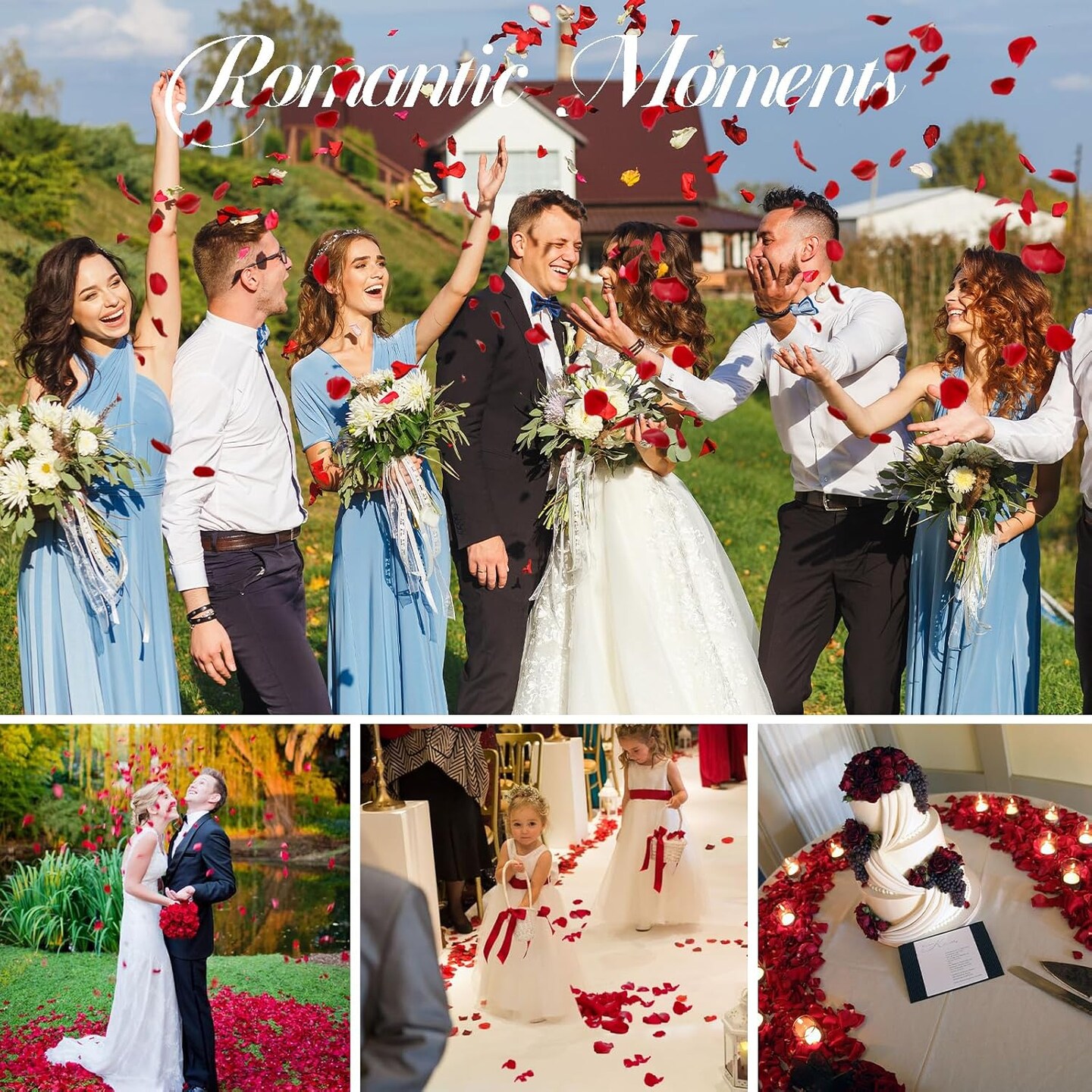 Dried Rose Petals Wedding Biodegradable Petals, Natural Preservation Real Flower Petals