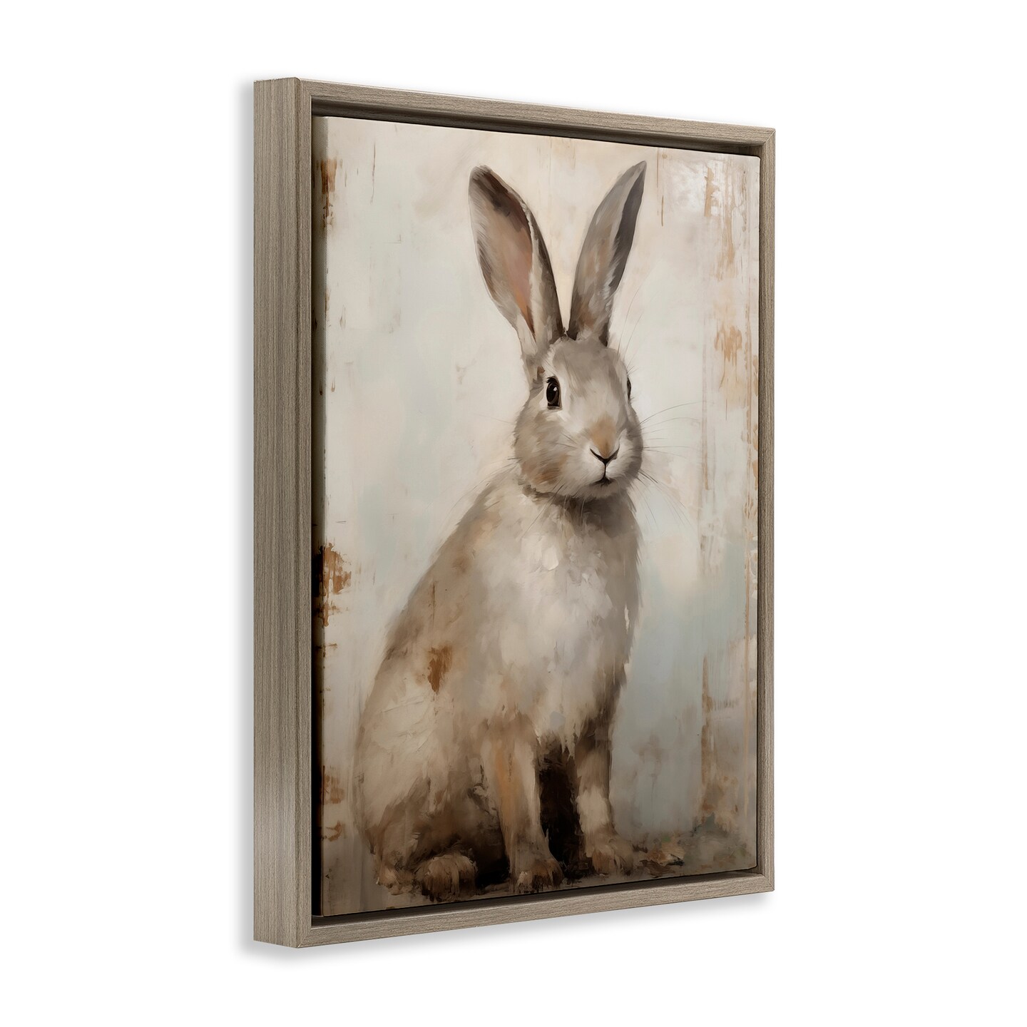 Stupell Industries Neutral Rabbit Portrait Floating Frame By Arlington Prints