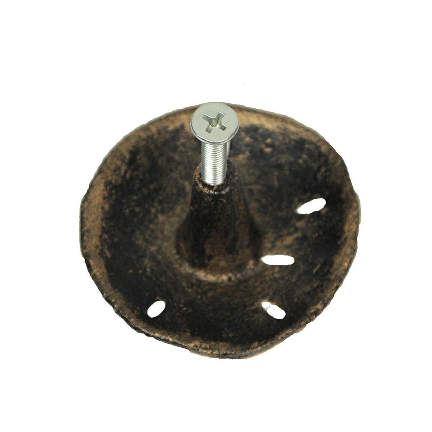 Antique Finish Sand Dollar Drawer Pulls - 6-Piece Set