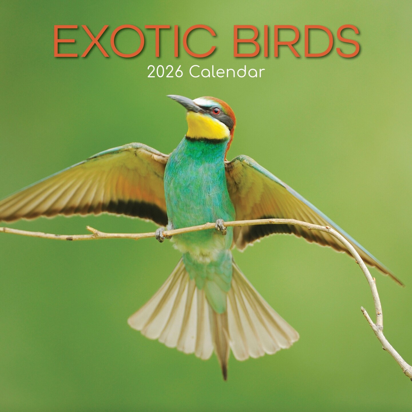 The Gifted Stationery 16-Month Square Wall Calendar - Exotic Bird Art & 2026 Wall Planner - Pre-Marked Holidays & 16 Month Calendar 2026-12x12 in, 180 Stickers