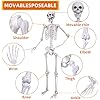 Skeleton Full Body Human Skeleton for Halloween Decorations