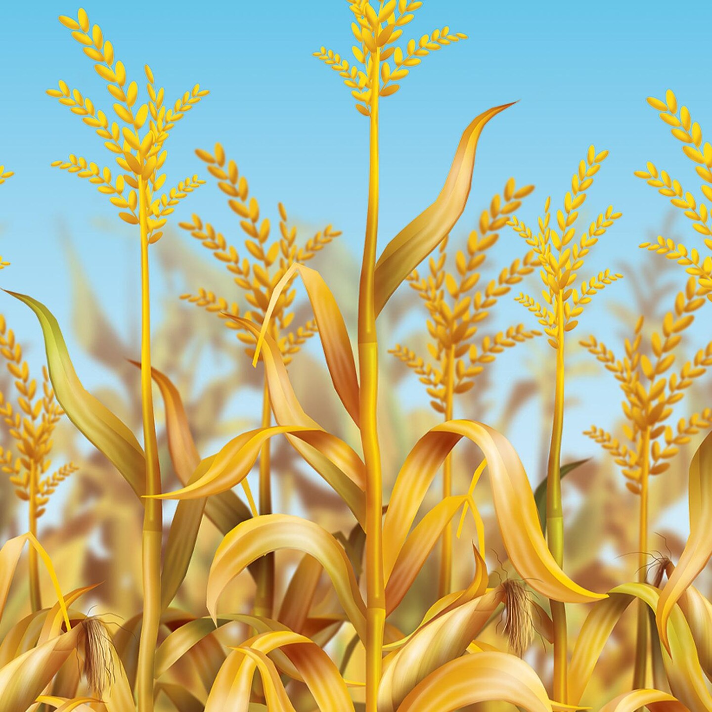 6 Pack Beistle Thanksgiving Cornstalks Backdrop