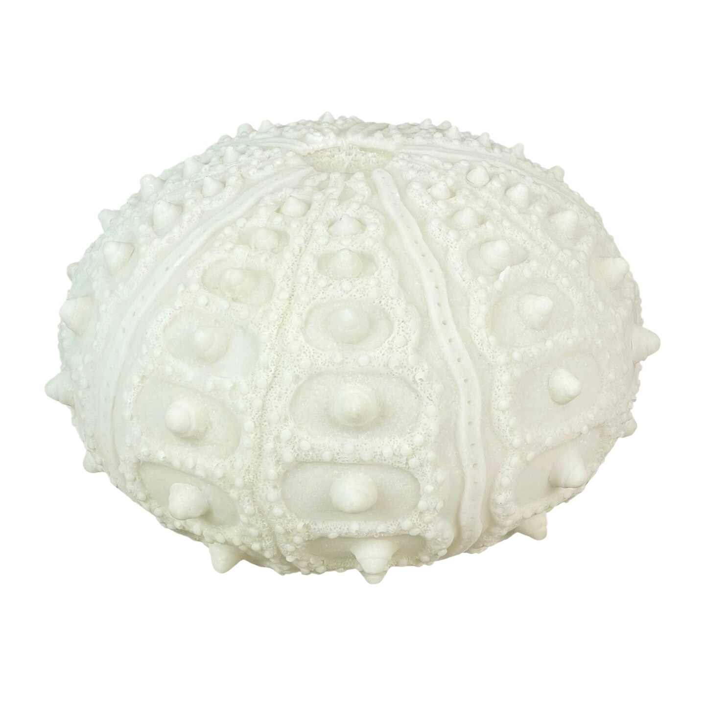 Coastal Sea Urchin Lamp, 12" Resin Sculpture with Warm Glow, Decorative Accent