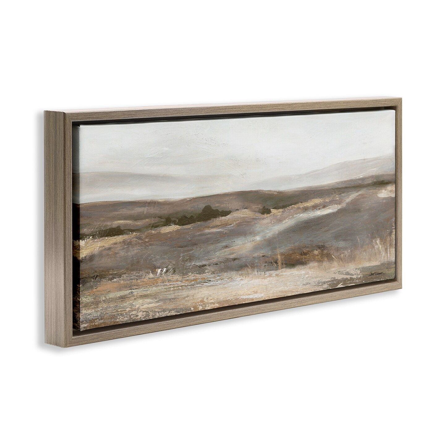 Stupell Industries Desert View Abstraction Framed Floater Canvas Wall Art Design by Carol Robinson