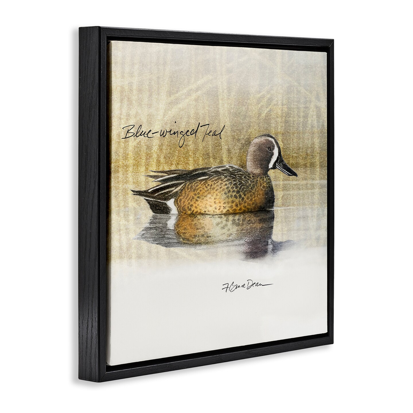 Stupell Industries Blue Winged Teal Duck Framed Floater Canvas Wall Art Design by Jadei Graphics