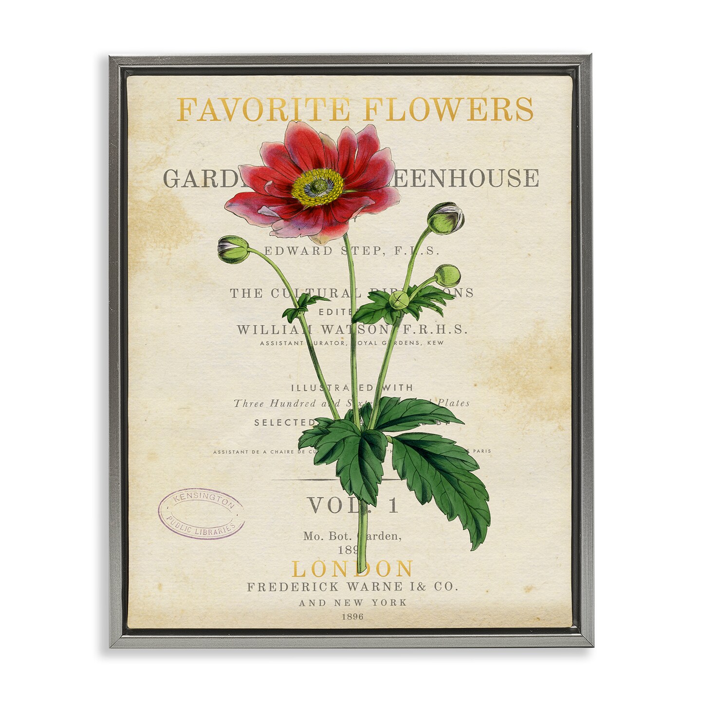 Stupell Industries Garden Greenhouse Vintage Flower Floating Frame By Susan Arnot