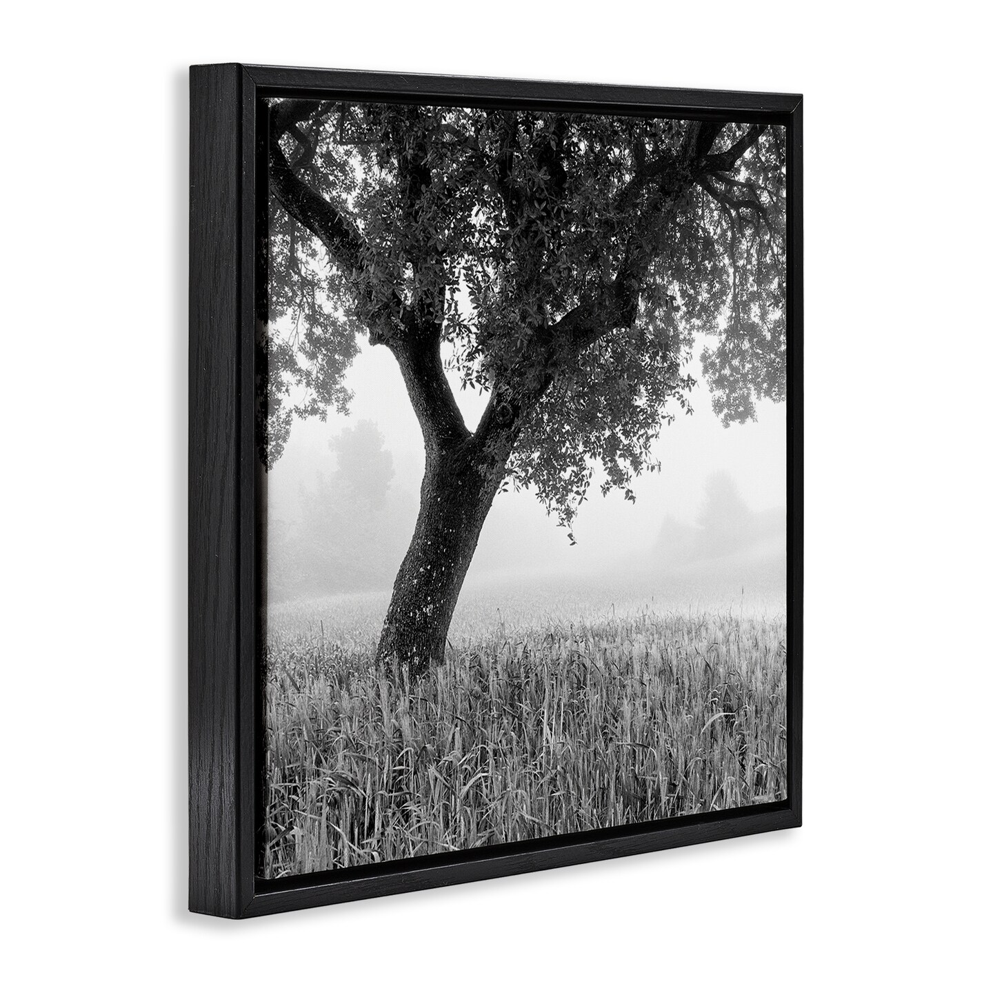 Stupell Industries Tuscan Morning Scenery Framed Floater Canvas Wall Art Design by Chip Forelli