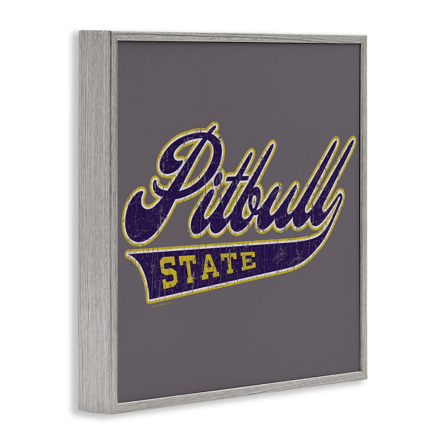 Stupell Industries Varsity Style Pitbull State Framed Giclee Wall Art Design by Spirit Animals/Life Is High
