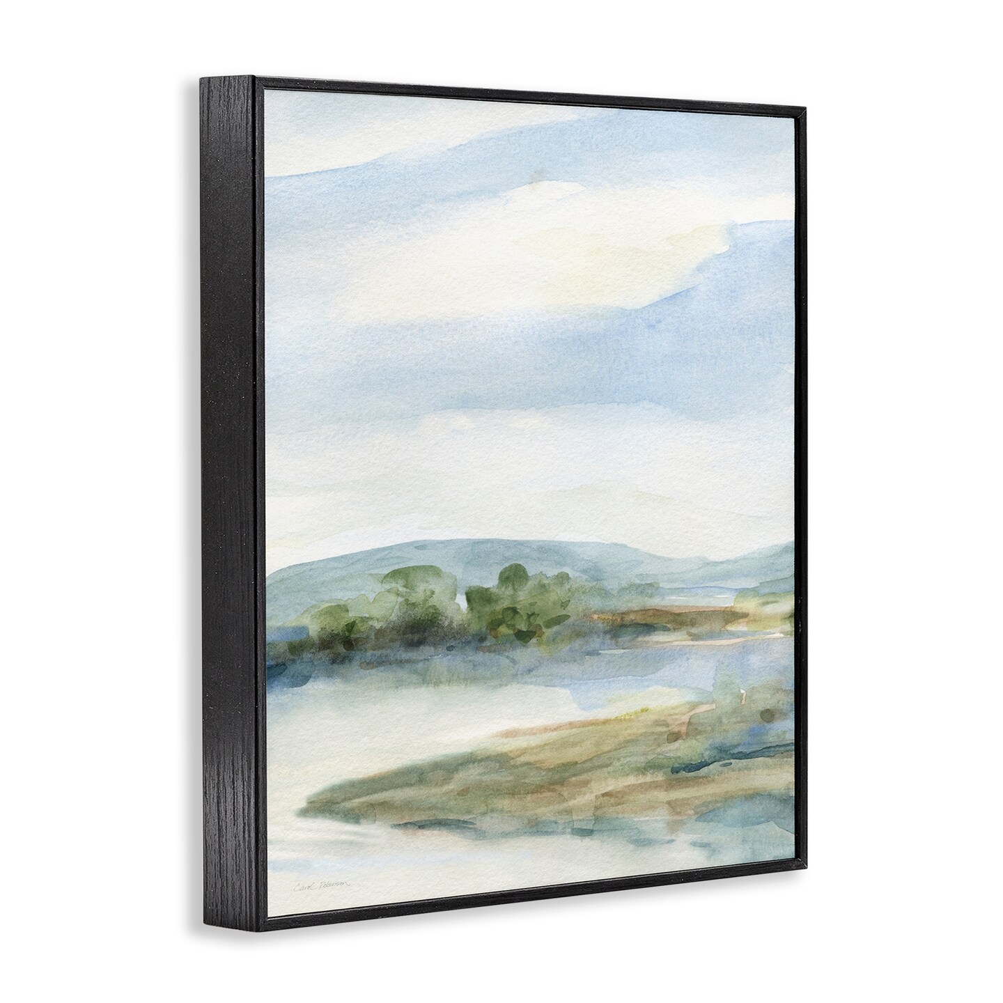Stupell Industries Impression of Natural Hills Framed Giclee By Carol Robinson