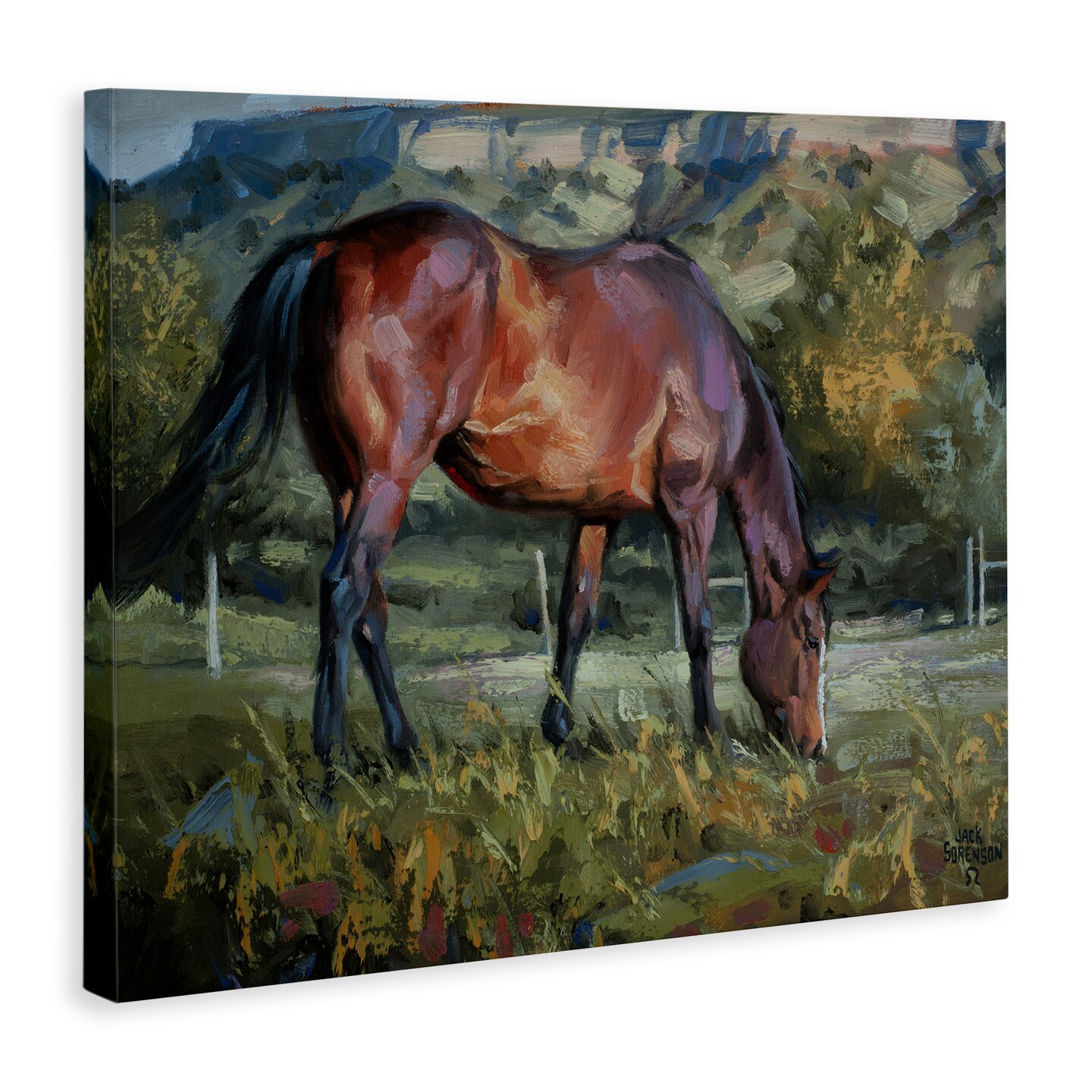 Stupell Industries Grazing Horse in Pasture Canvas By Jack Sorenson