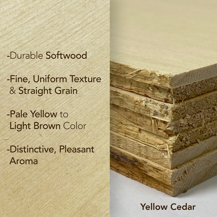 Solid Hardwood 6x19 inches, 0.13 inches, 1/8 inches, Unfinished or Finished | Basswood, Poplar, Mahogany, Walnut, Cherry, Maple, Cedar