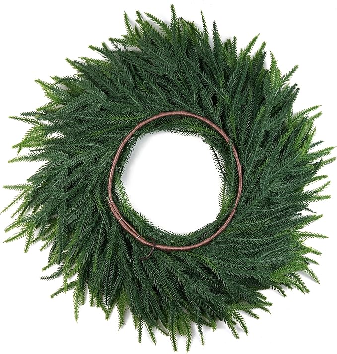 24inch Christmas Wreath 2 Pack, Norfolk Pine Wreath for Front Door, 24 Inch Xmas Village Wreath Holiday Decor Christmas Decorations for Home Wall Window Indoor Outdoor Outside Winter