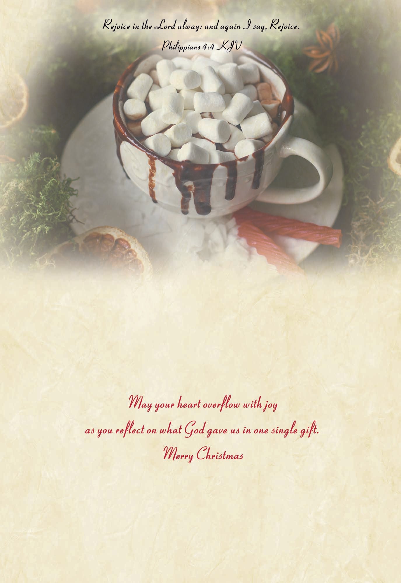 Boxed Christmas Cards - Cozy Christmas
